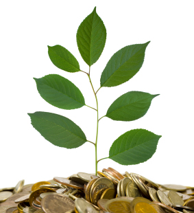 Coins and plant